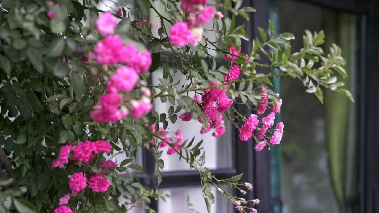 Encounter Garden Great Wall Holiday Guesthouse Peking Exterior foto